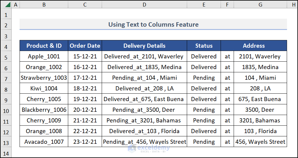 Final Output of Text to columns feature
