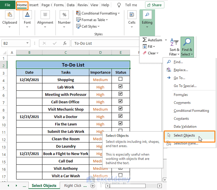 Select Objects-Remove Checkboxes from Excel