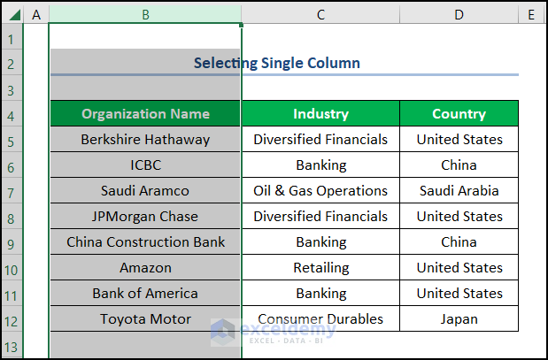 vba columns select single column