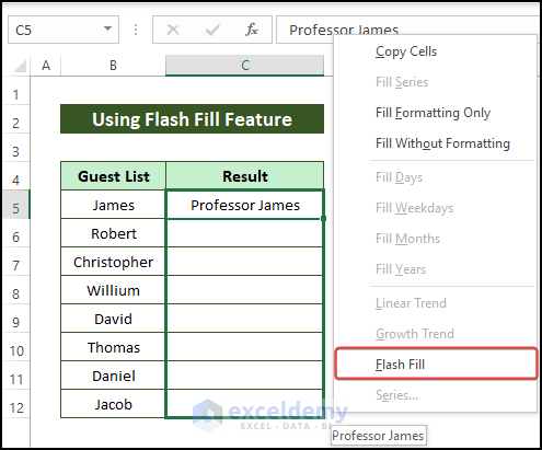 releasing the fill handle to open the flash fill menu