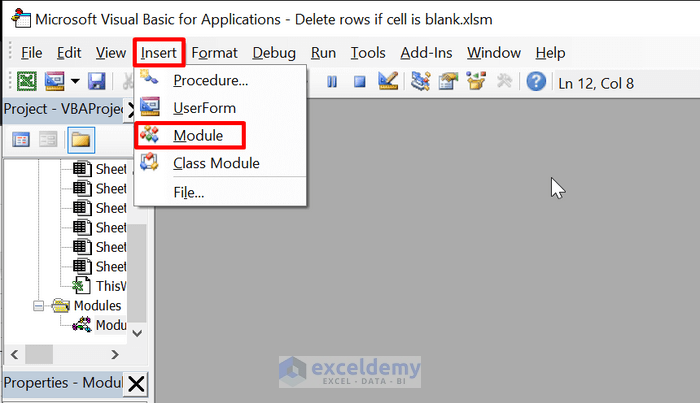 insert vba module in Excel