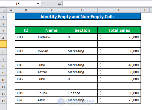 Identify Empty and Non-Empty Cells Using Conditional Formatting