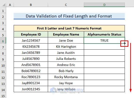 Dragging Down Formula for Checking Data Validation of Fixed Length and Format Alphanumeric Only