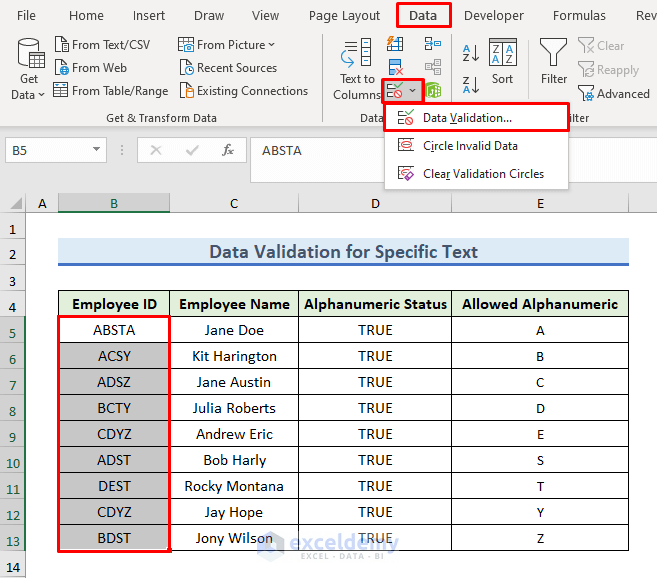 Inserting Excel Data Validation Tool