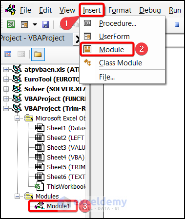 Inserting module in Excel