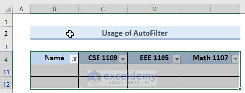 auto filter in excel