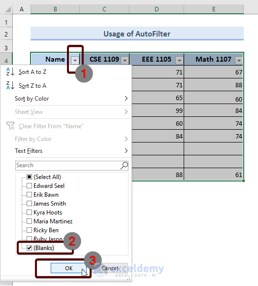  in Excel Usage of AutoFilter to Delete Blank Cells