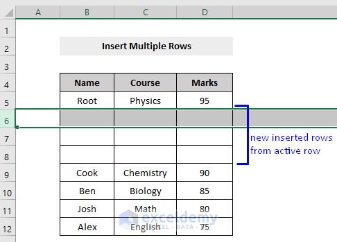 Result of Macro to Include Multiple Rows from Active Row in Excel