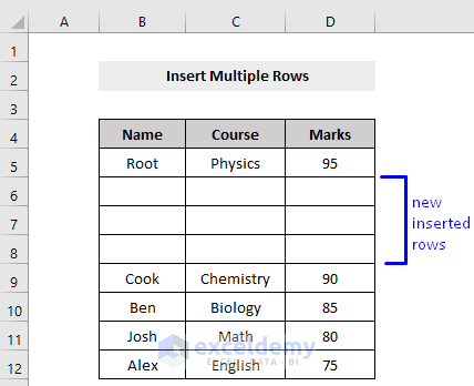 Result of Macro to Embed Multiple Rows Based on User Input in Excel