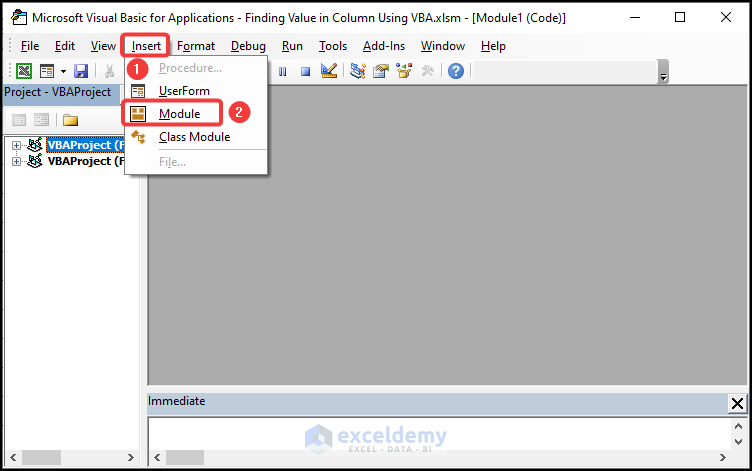 Inserting a new Module to write VBA code