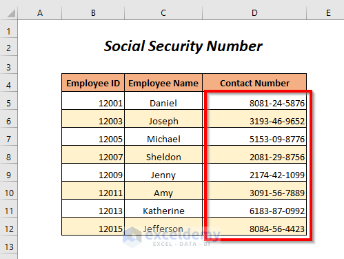 Social Security Number Option