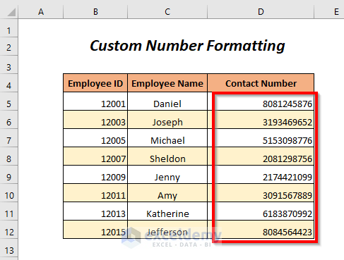 custom number formatting