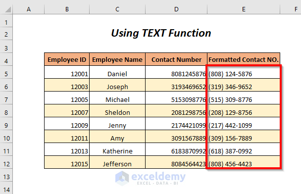 Excel phone number format