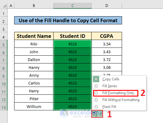 Use of the Fill Handle to Copy Cell Format in excel