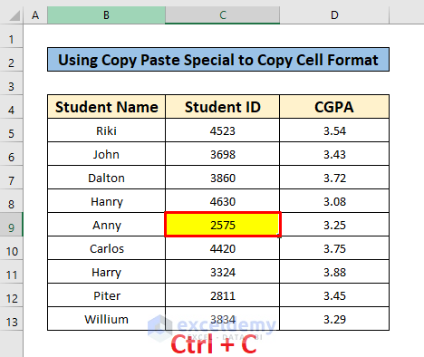 Insert Copy Paste Special to Copy Cell Format in excel