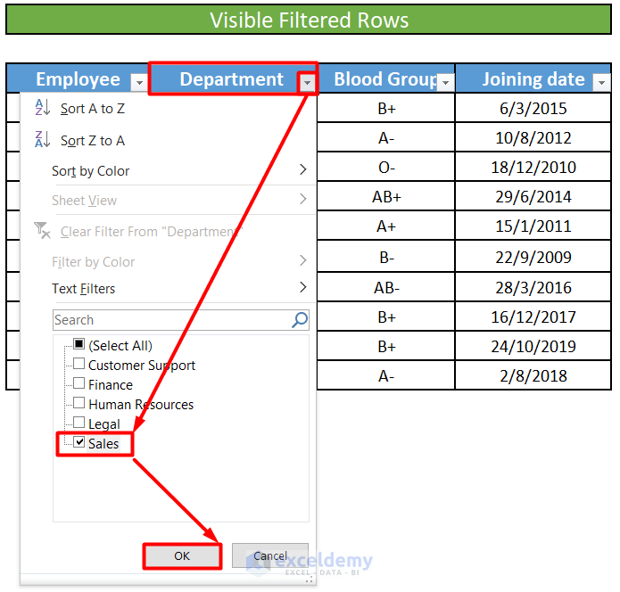 Delete Visible Filtered Rows in Excel