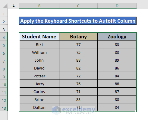 Perform the Keyboard Shortcut to AutoFit Column Width in Excel
