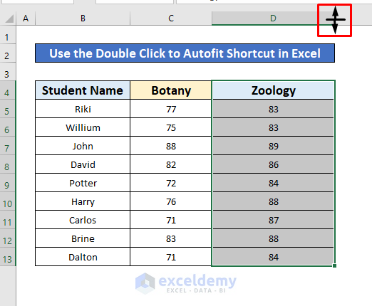 Perform Double Click to AutoFit Column Width in Excel