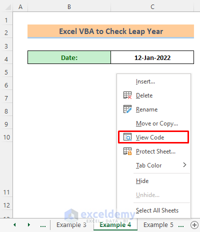 Year Function in Excel VBA to Check Leap Year