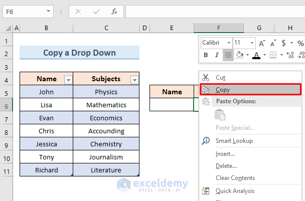 Drop-Down Lists Copy Pasting in Excel