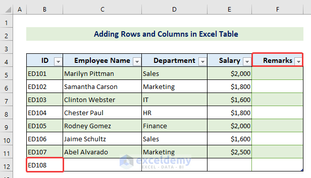 adding rows and columns in Excel Table by manually inputting data