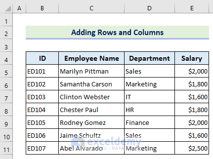 Dataset of inserting rows and columns in Excel