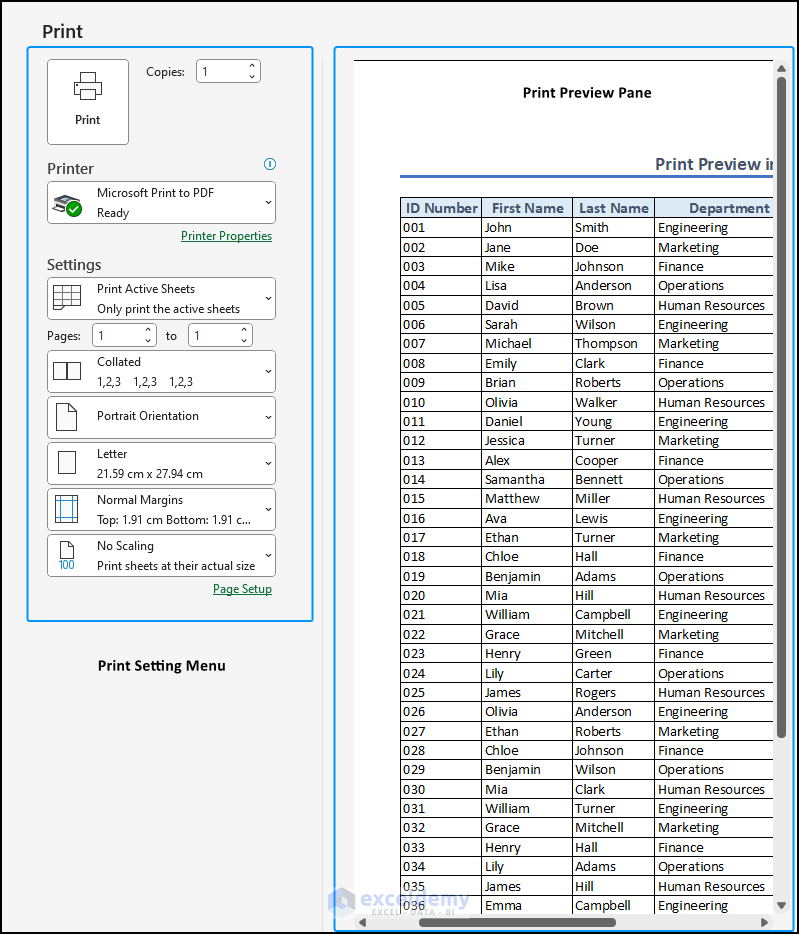 visual interface of Excel print preview menu