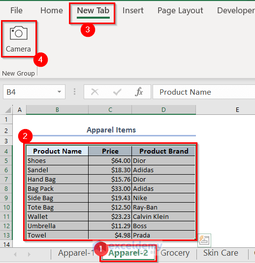 Using Camera Icon in Excel