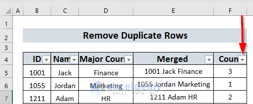 Remove Duplicate Rows Except for 1st Occurrence in Excel