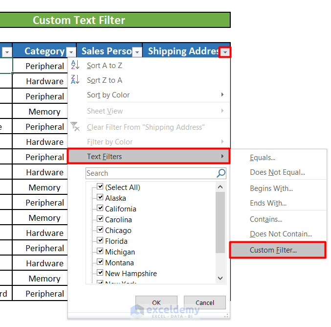 Introduction to the Custom Text Filter in Excel