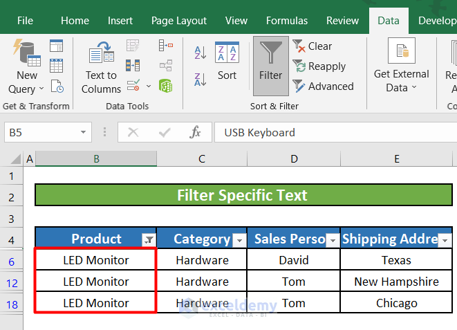 Text Filter in Excel