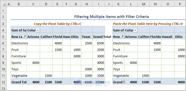 Filter Multiple Items Using Filter Criteria