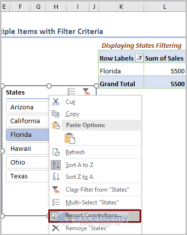 Filter Multiple Items Using Filter Criteria
