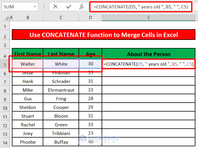 Apply the CONCATENATE Formula to Merge Cells in Excel