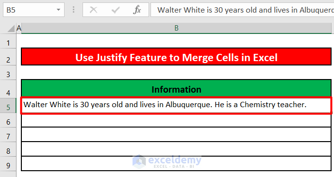 texts in all the cells under the Information column have been merged into the first or top-most cell