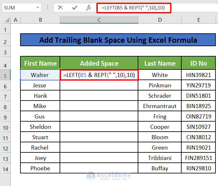 LEFT and REPT Functions in Excel