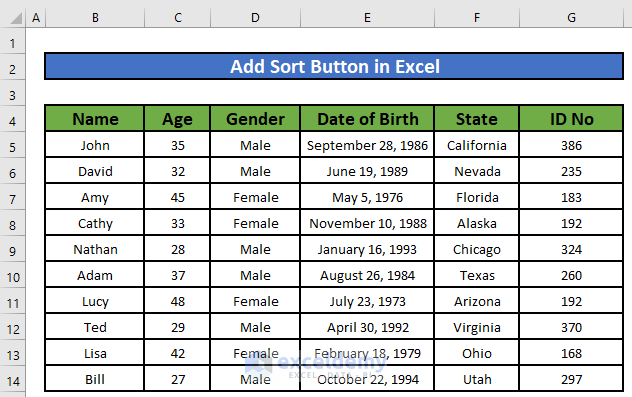 Excel Worksheet We are Going to Work With