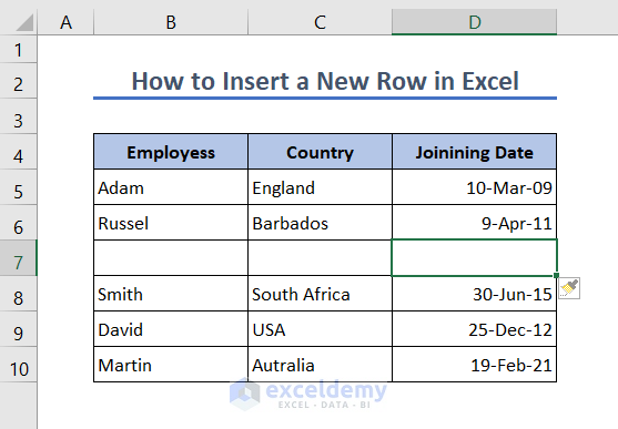 Insert a New Row in Excel