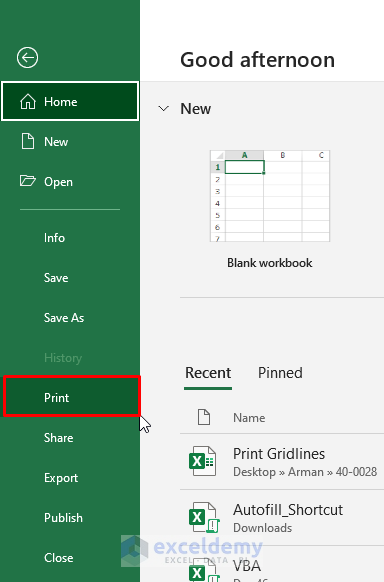 Insert Gridlines on Worksheet From Print Option in Excel