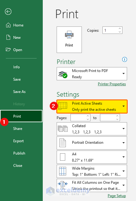 Basic Approach to Print Selected Area in Excel