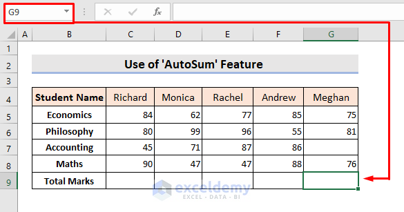 Limitations of Excel AutoSum Shortcut in Column