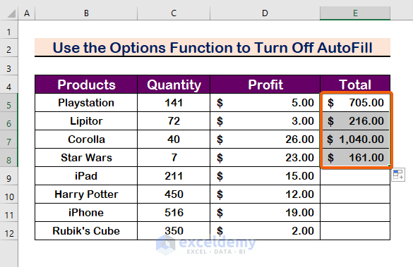 Use the Excel Options Function to Turn Off AutoFill 