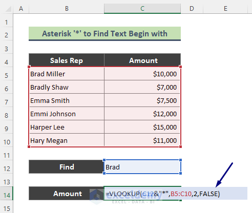 Apply Wildcard in VLOOKUP to Find Partial Match (Text Begins with)
