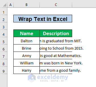 How the Wrap Text Works in Excel 