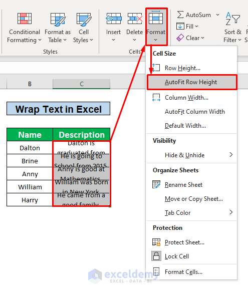 How the Wrap Text Works in Excel 