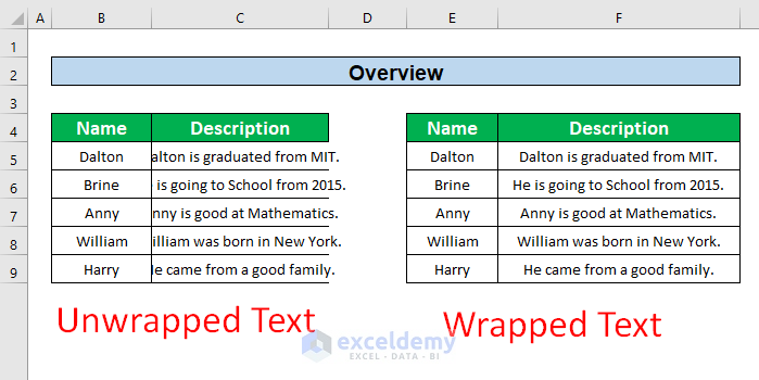 Wrap Text not working in Excel