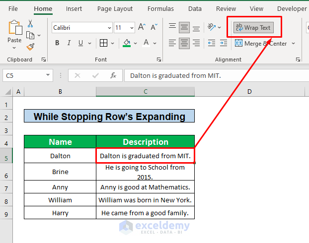 Apply the AutoFit Row Height Option to Fix the Wrap Text in Excel