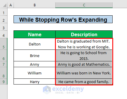 Apply the AutoFit Row Height Option to Fix the Wrap Text in Excel