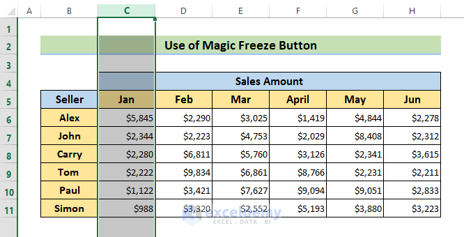 Customized Locking with Excel Magic Freeze Button