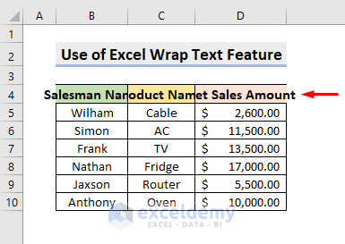 Excel Wrap Text Feature to Adjust Row Height